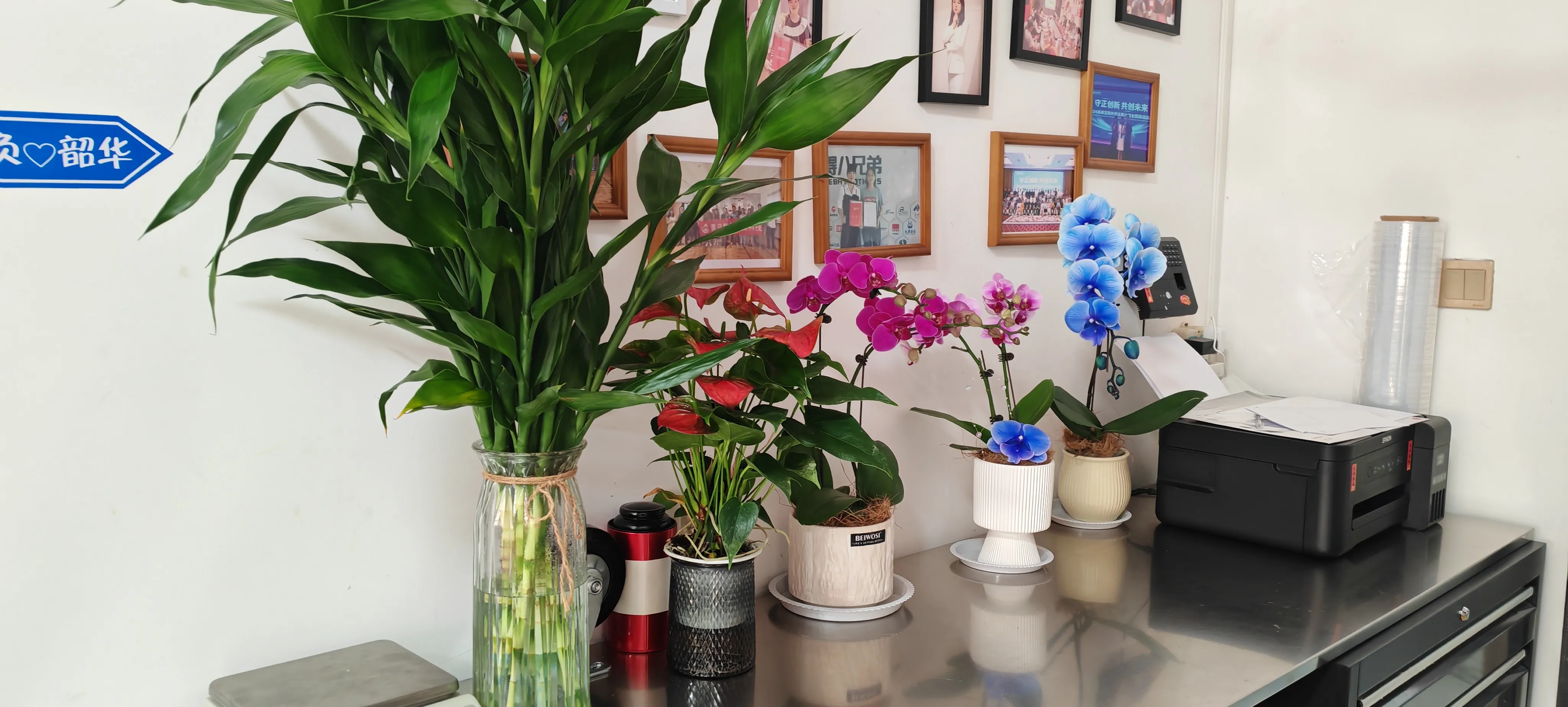 Willkommen, die neuen Freunde von JOJO Pack!